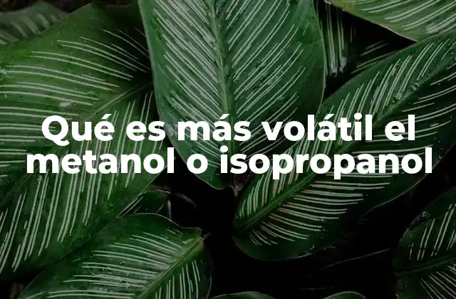 Qué es Más Volátil el Metanol o Isopropanol 2 Características comparativas del metanol y el isopropanol