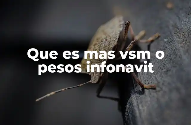 Que es mas Vsm o Pesos Infonavit