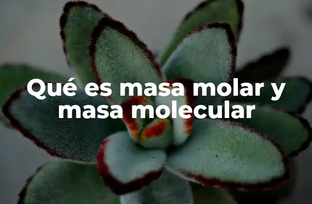 Qué es Masa Molar y Masa Molecular