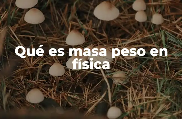 Qué es Masa Peso en Física