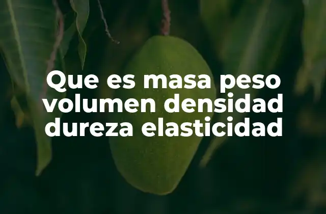 Que es Masa Peso Volumen Densidad Dureza Elasticidad