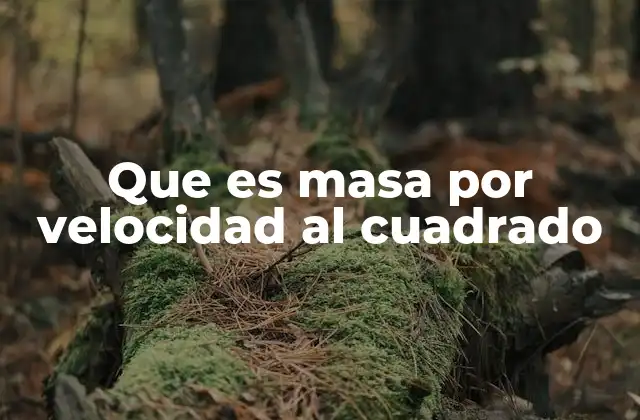 Que es Masa por Velocidad Al Cuadrado