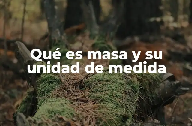 Qué es Masa y Su Unidad de Medida