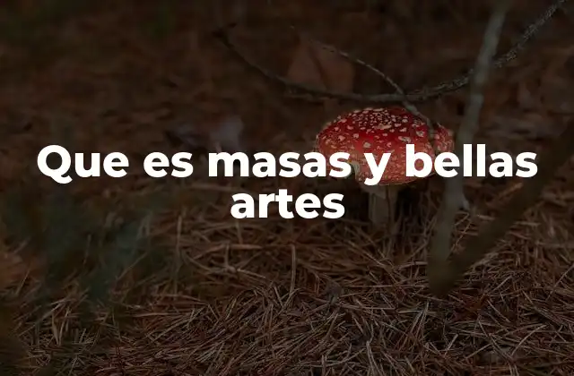 Que es Masas y Bellas Artes