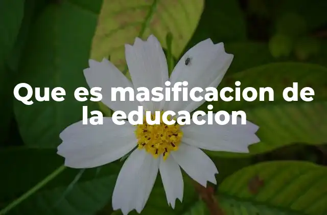 Que es Masificacion de la Educacion