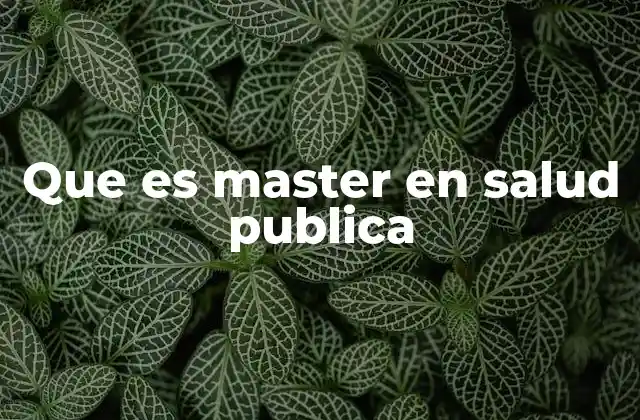 Que es Master en Salud Publica