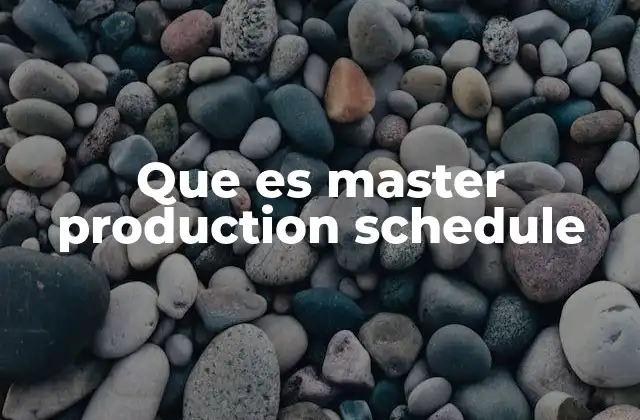 Que es Master Production Schedule