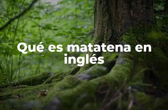 Qué es Matatena en Inglés