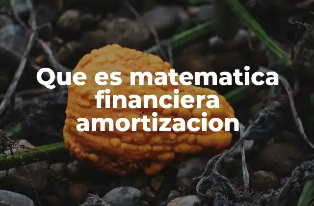 Que es Matematica Financiera Amortizacion 2 Cómo se relacionan las matemáticas con el pago de deudas