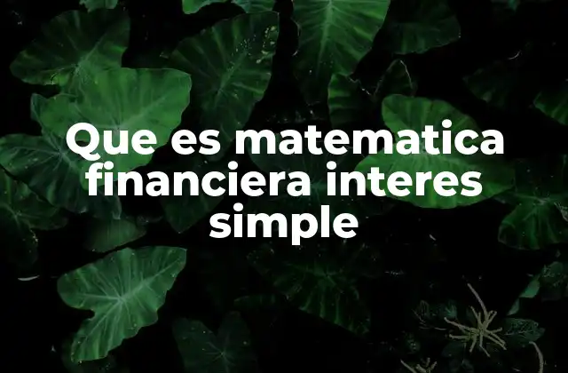 Importancia del interés simple en la toma de decisiones financieras