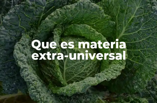 Que es Materia Extra-universal 2 Más allá de lo observable