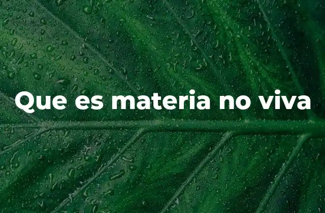 Que es Materia No Viva