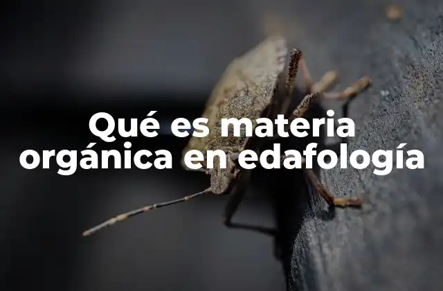 Qué es Materia Orgánica en Edafología