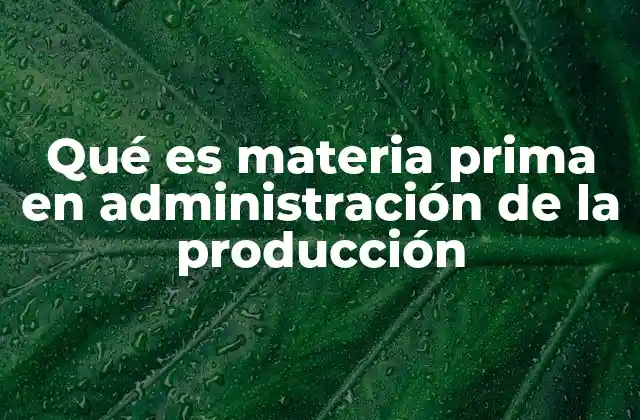 Qué es Materia Prima en Administración de la Producción