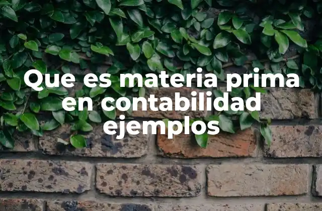 La importancia de la materia prima en el proceso productivo