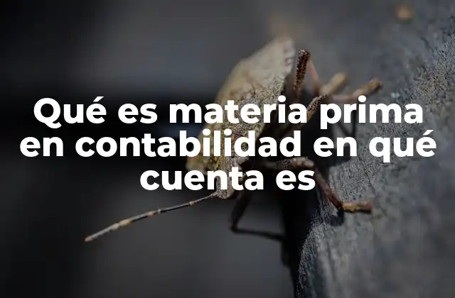 Qué es Materia Prima en Contabilidad en Qué Cuenta es