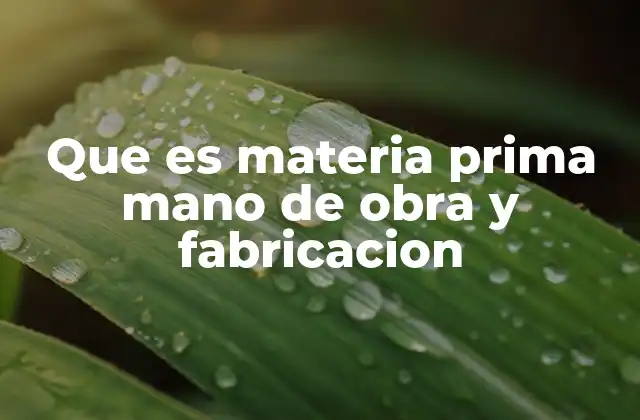 Que es Materia Prima Mano de Obra y Fabricacion