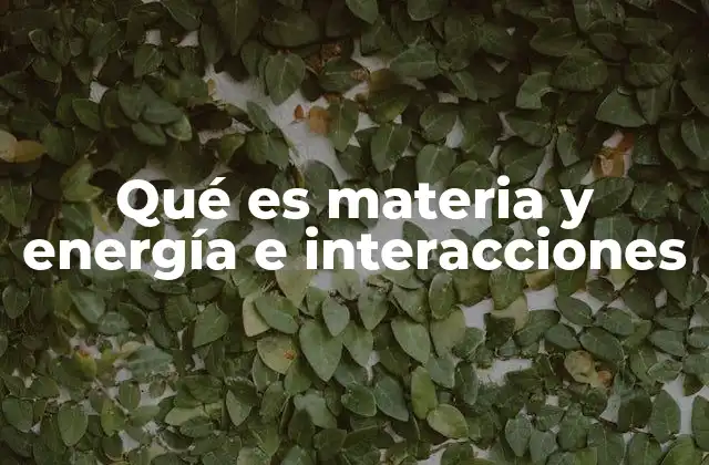 Qué es Materia y Energía e Interacciones