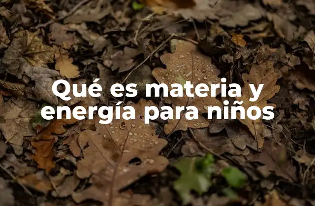 Qué es Materia y Energía para Niños
