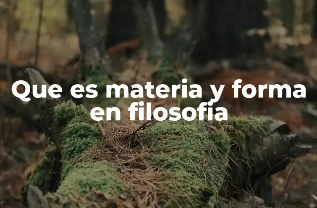 Que es Materia y Forma en Filosofia