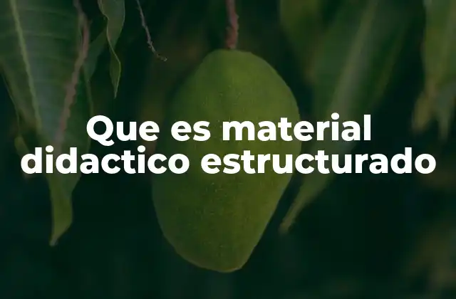 Que es Material Didactico Estructurado