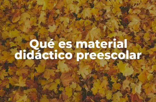 Qué es Material Didáctico Preescolar