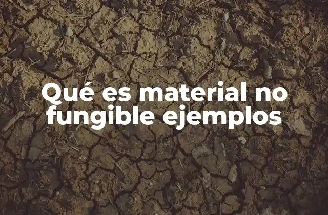 Qué es Material No Fungible Ejemplos