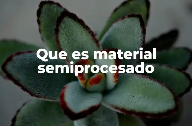 Que es Material Semiprocesado