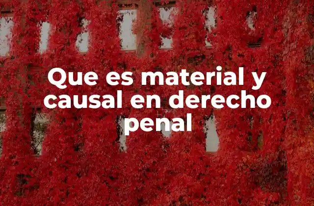 La importancia de distinguir entre lo objetivo y lo subjetivo en la estructura del delito