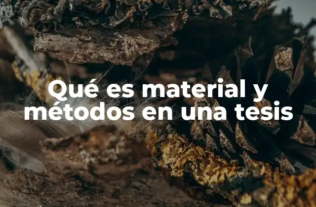 Qué es Material y Métodos en una Tesis
