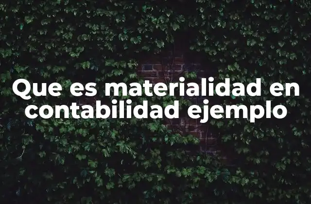 Que es Materialidad en Contabilidad Ejemplo