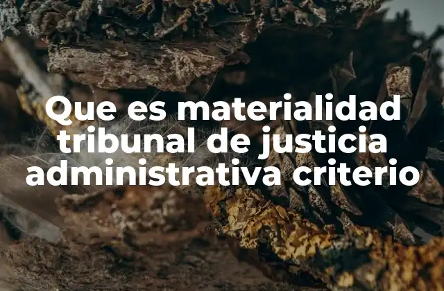 Que es Materialidad Tribunal de Justicia Administrativa Criterio