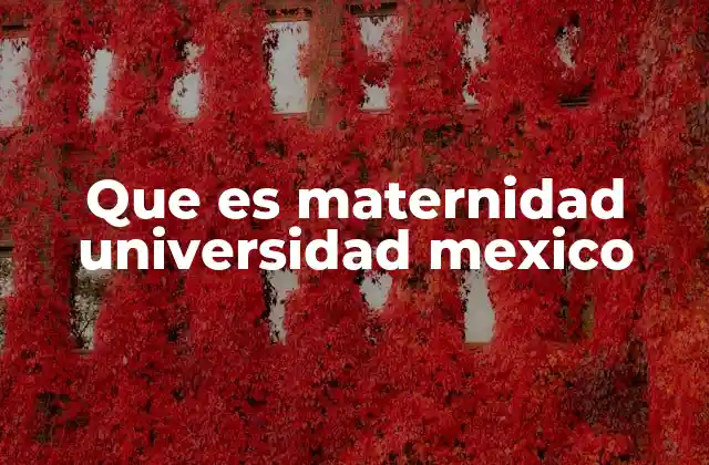 Que es Maternidad Universidad Mexico