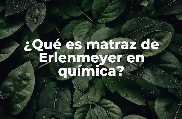 ¿qué es Matraz de Erlenmeyer en Química?