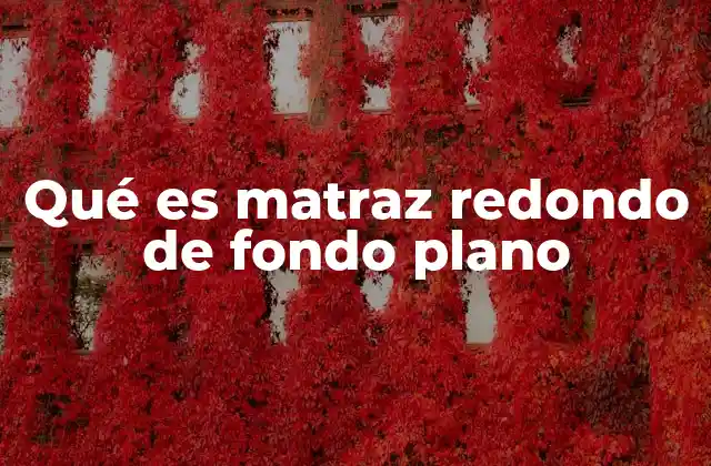 Qué es Matraz Redondo de Fondo Plano