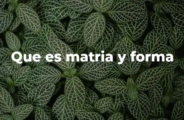 Que es Matria y Forma
