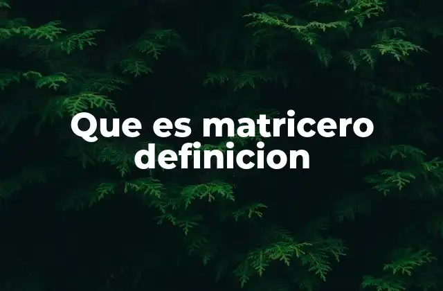 Que es Matricero Definicion 2 El rol del matricero en la construcción y el diseño