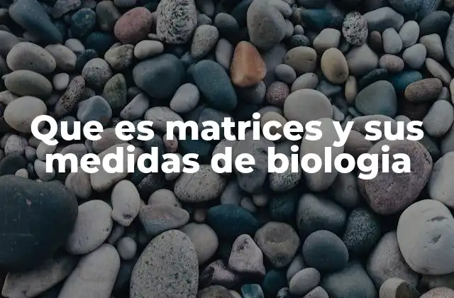Que es Matrices y Sus Medidas de Biologia