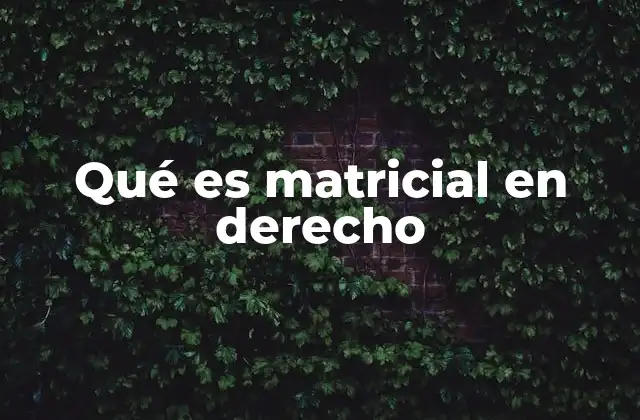Qué es Matricial en Derecho