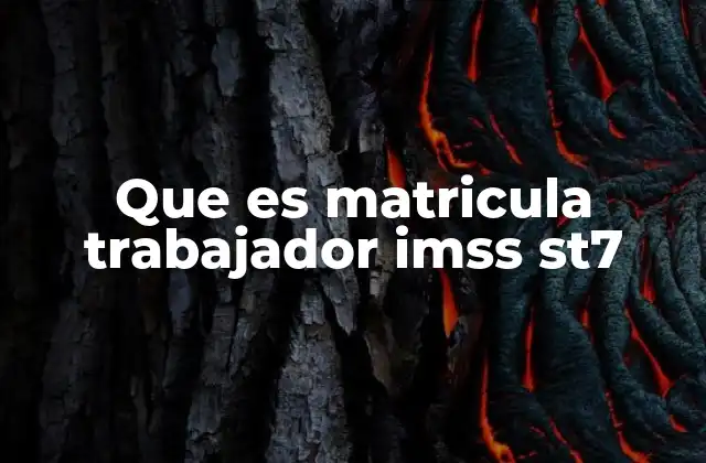 Que es Matricula Trabajador Imss St7