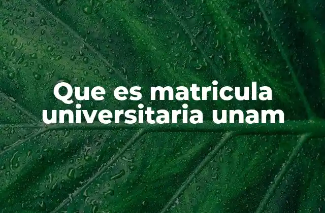 Que es Matricula Universitaria Unam