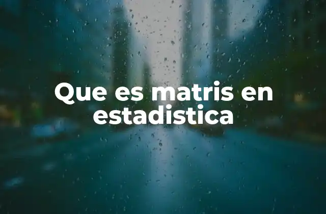 Que es Matris en Estadistica