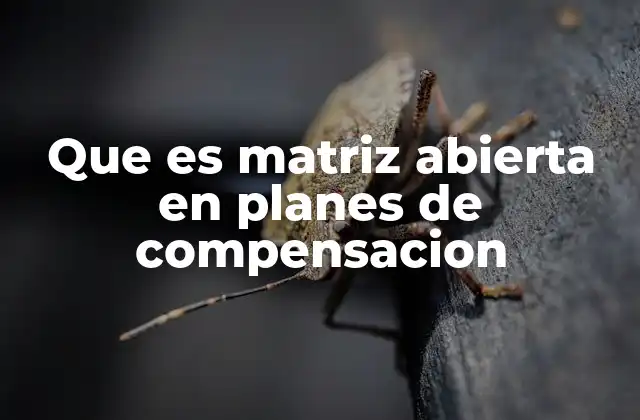 Que es Matriz Abierta en Planes de Compensacion