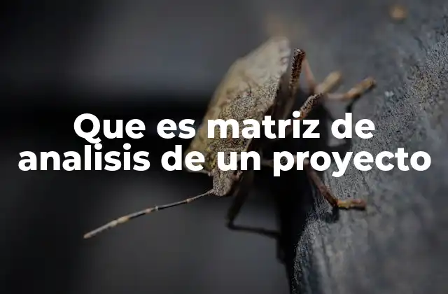 Que es Matriz de Analisis de un Proyecto 2 Cómo se aplica una matriz de análisis en la gestión de proyectos