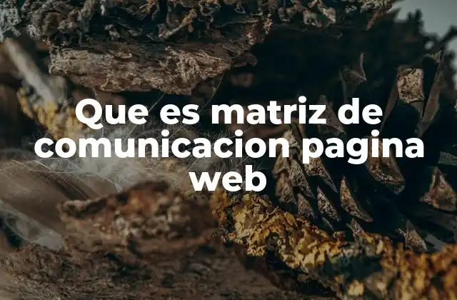 Que es Matriz de Comunicacion Pagina Web