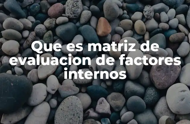 Que es Matriz de Evaluacion de Factores Internos