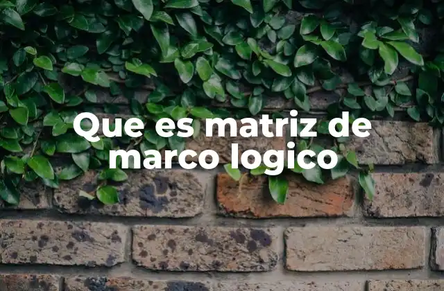 Que es Matriz de Marco Logico