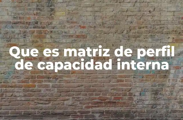 Que es Matriz de Perfil de Capacidad Interna