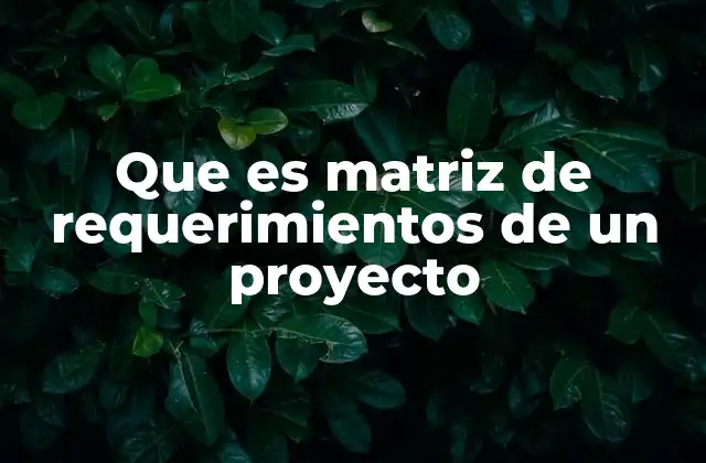 Que es Matriz de Requerimientos de un Proyecto