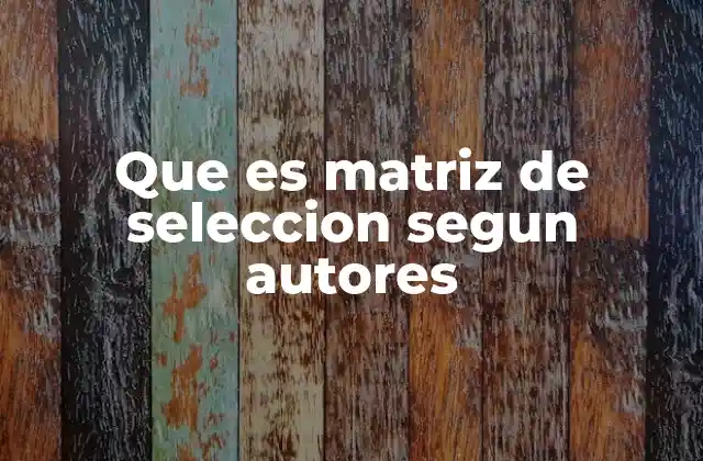 Que es Matriz de Seleccion Segun Autores
